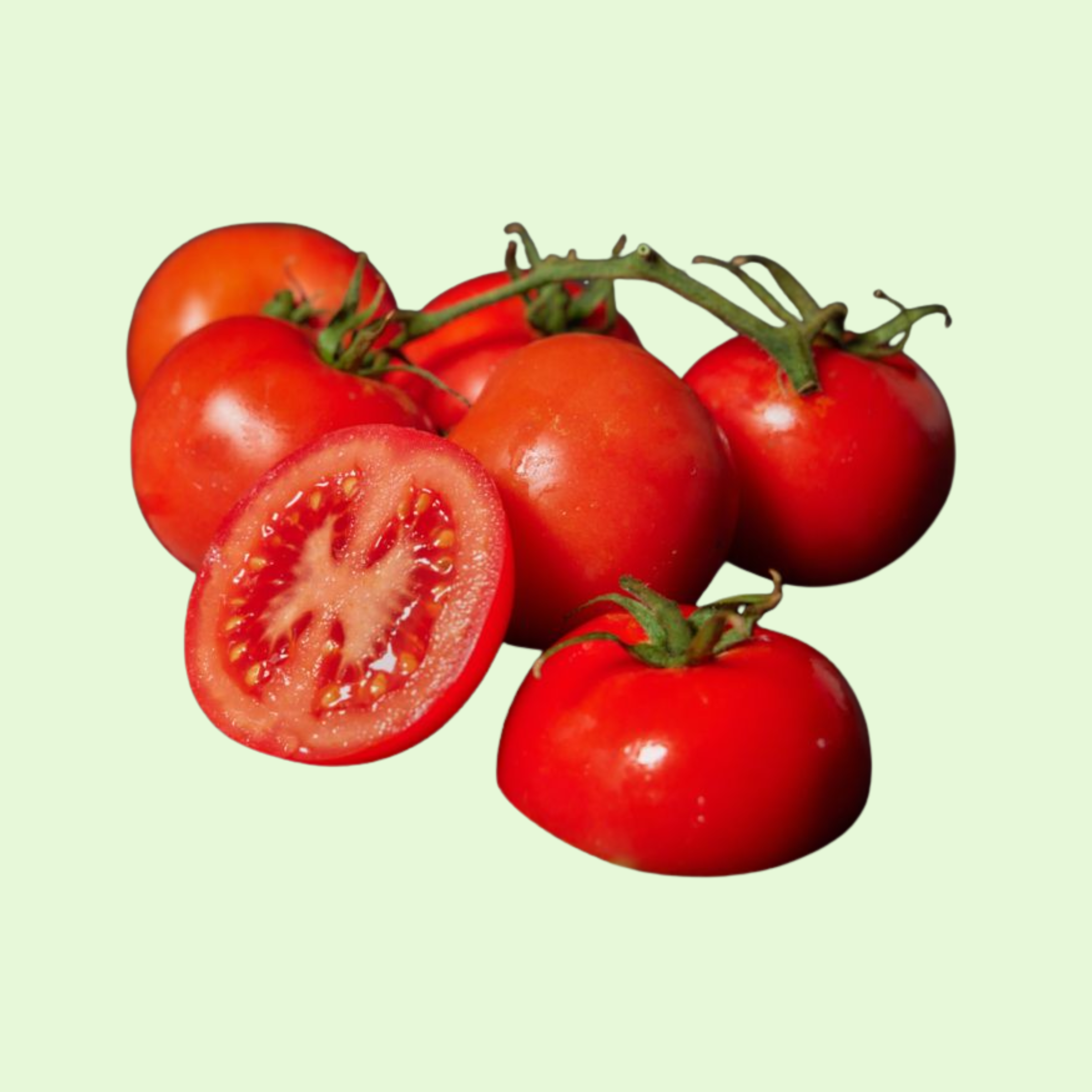 Fresh Tomatoes